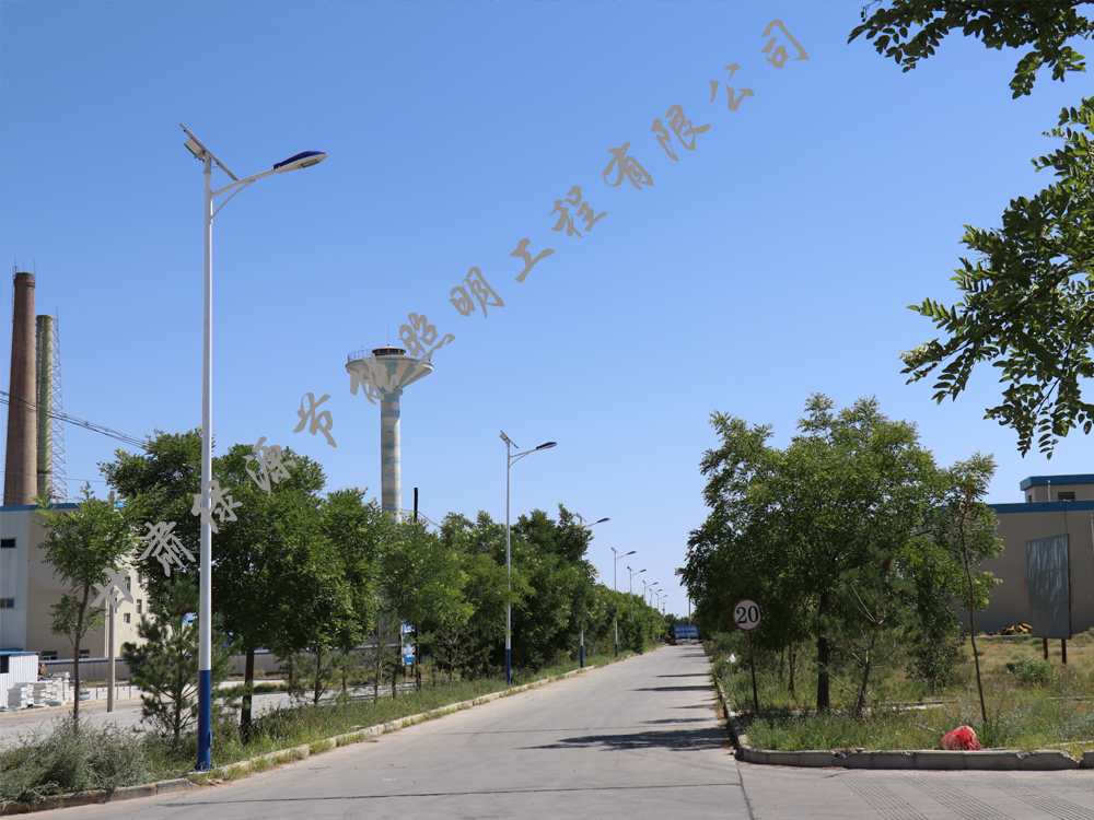 Case study of 6-meter solar street light in Zhangye Potato Factory