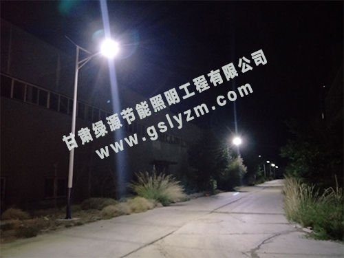 Case study of 6-meter solar two body lamp project in Shandan County, Zhangye